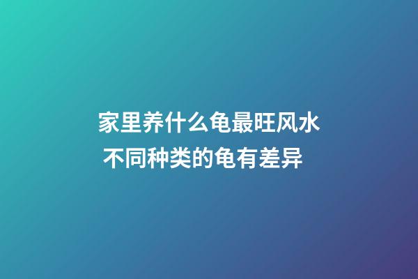 家里养什么龟最旺风水 不同种类的龟有差异